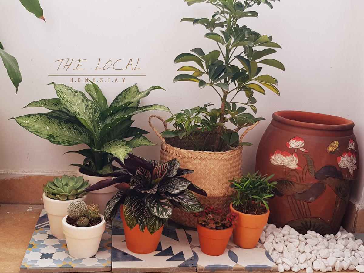 The Local Homestay TP. Hồ Chí Minh Ngoại thất bức ảnh