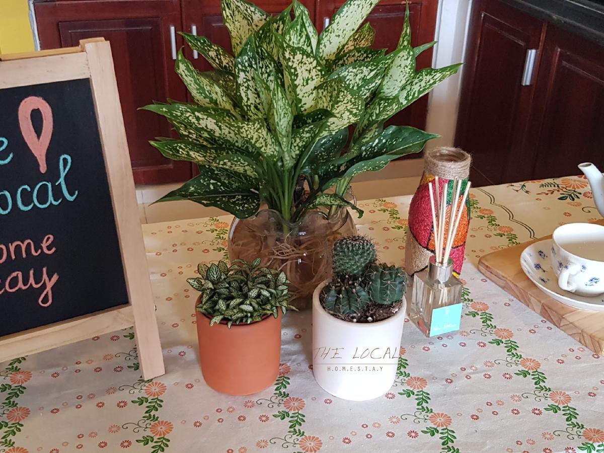The Local Homestay TP. Hồ Chí Minh Ngoại thất bức ảnh
