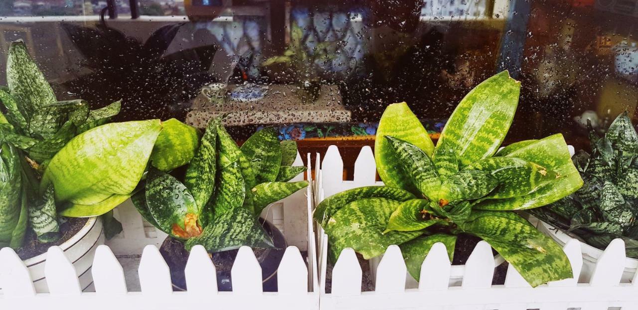 The Local Homestay TP. Hồ Chí Minh Ngoại thất bức ảnh