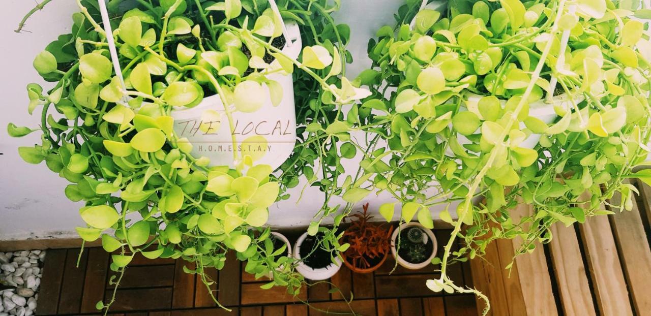 The Local Homestay TP. Hồ Chí Minh Ngoại thất bức ảnh