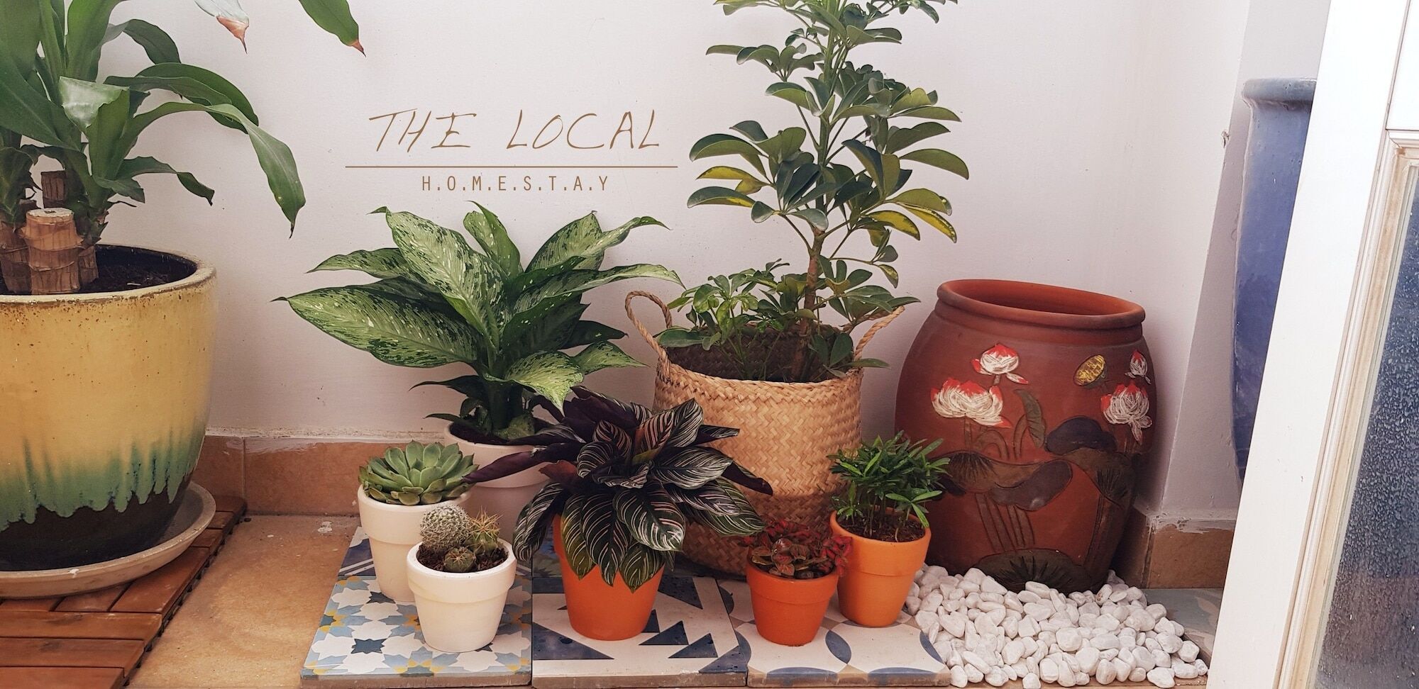 The Local Homestay TP. Hồ Chí Minh Ngoại thất bức ảnh